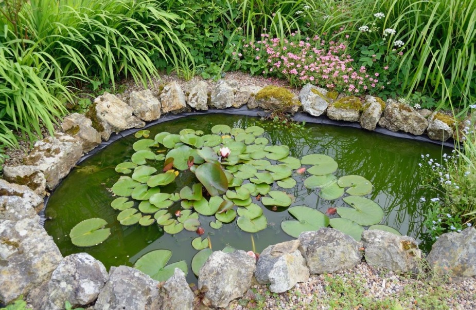 DIY : décorer sa terrasse avec un bassin de jardin