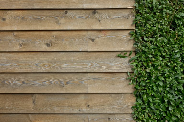 Avantages d’acheter un chalet en bois